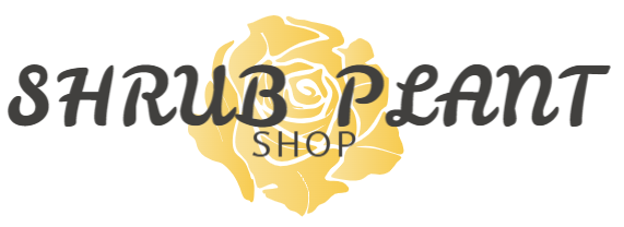 Shrub Plant Shop