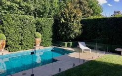 Bay Laurel (Sweet Bay) - Laurus Nobilis - 1 Gallon Pot 13 Bay Laurel (Sweet Bay) - Laurus Nobilis - 1 Gallon Pot -Shrub Plant Shop Bay Laurel 7 1