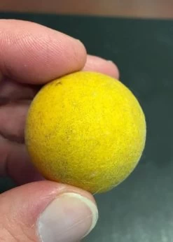 Flying Dragon Hardy Orange Tree - 3 Gallon Pot -Shrub Plant Shop Orange Flying Dragon 6