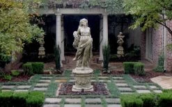 Dwarf Mondo Grass - 18 Count Flat Of Pint Pots -Shrub Plant Shop Picture Mondo Grass Dwarf Pavers 1